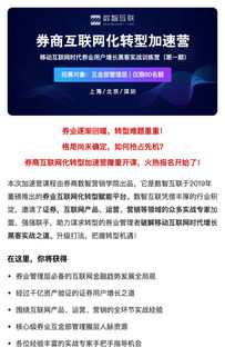 广告审查材料网站全解析，从搭建到实战的指南