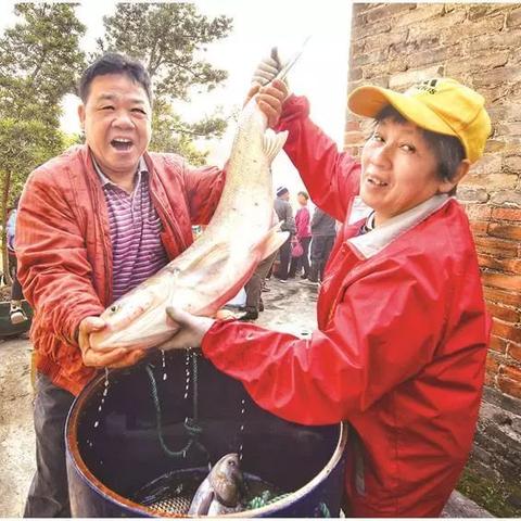 和谐陶瓷，佛山陶瓷界的实力派，为什么值得你信赖？