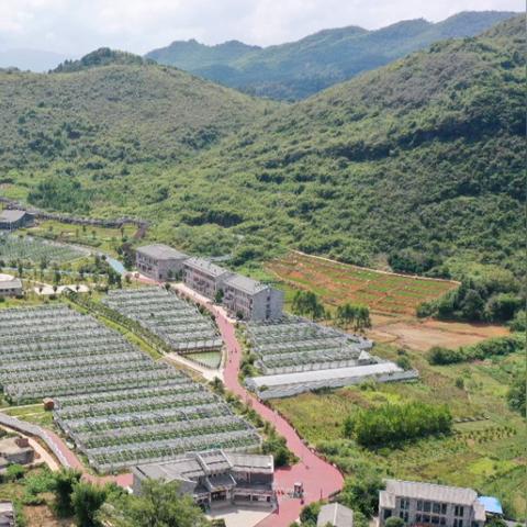 乡村振兴新玩法，打造乡村乐园文化圈全攻略