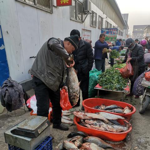 泰安零食加盟品牌大全
