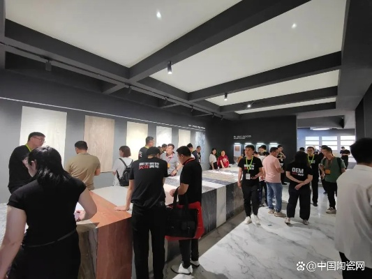 龙图陶瓷是几线品牌？二线中的性价比之王还是小众黑马？