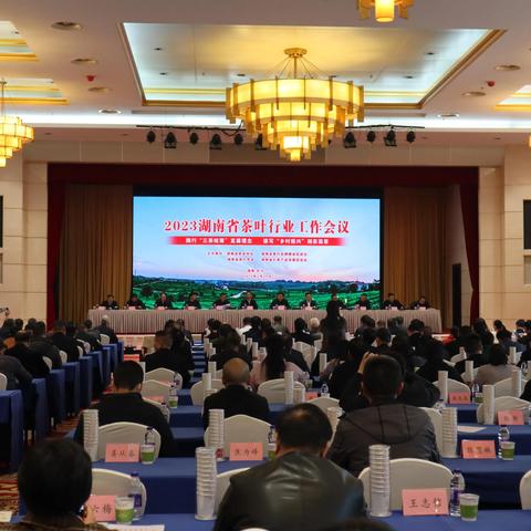 送茶有面子又显品味！2023年高口碑茶叶品牌全攻略