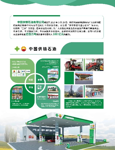 林州柴油加盟店品牌推荐及案例分析