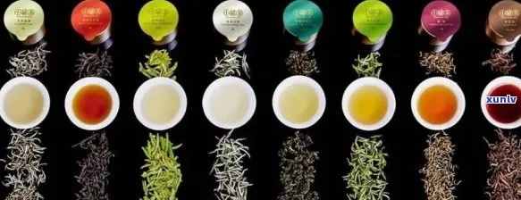 茶叶品牌名字的千变万化，从传统到创新的全解析