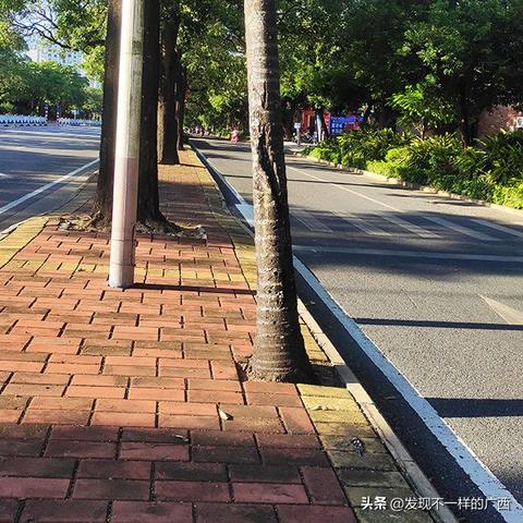 北海槟榔加盟店热门品牌一览