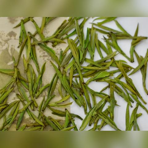 茶叶品牌评分排行榜大揭秘，你的口粮茶到底排第几？