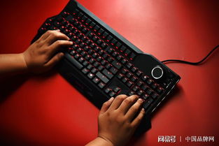 电脑键盘品牌大全