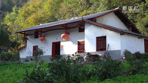 解码乡村民宿，从零开始打造诗意栖居的黄金时代