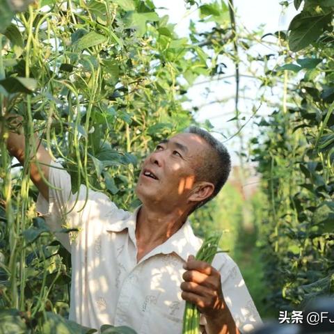 手把手教你画乡村栏杆！从工具准备到实战技巧全攻略