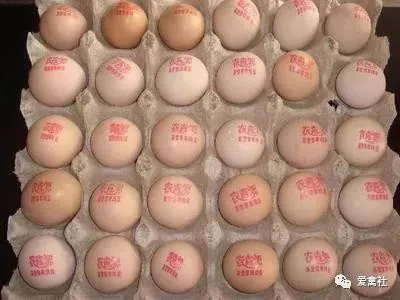昌邑鸡蛋加盟店品牌推荐及案例分析