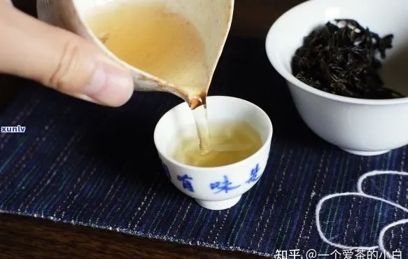 带泡茶品牌全解析，从新手到老饕的选购指南