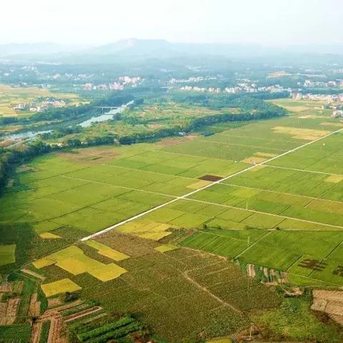 中国汽车品牌崛起之路，从田字辈到世界舞台的逆袭