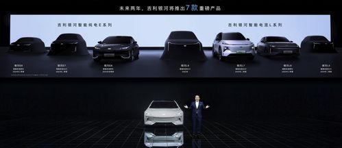 UP车品牌，小众新能源市场的突围战与未来展望