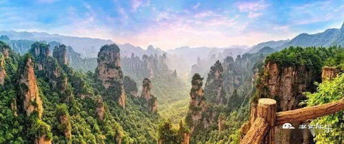 如皋旅游全攻略，10大景点+隐藏玩法，看完这篇就够啦！