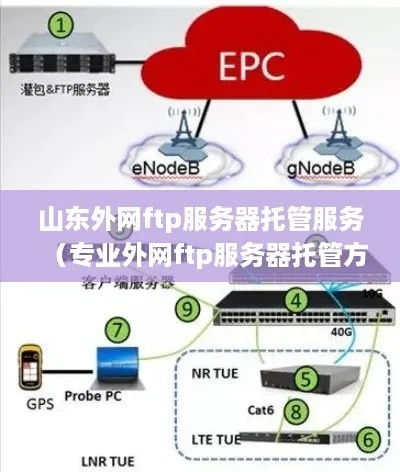 海南自贸港外网FTP服务器托管物理机全攻略，成本、安全与案例解析