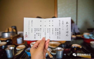 手把手教你查酒店入住记录，方法、技巧与注意事项全解析