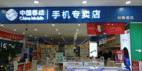 抚顺鸭绒被实体店全攻略，哪里买最放心？附推荐店铺+避坑指南