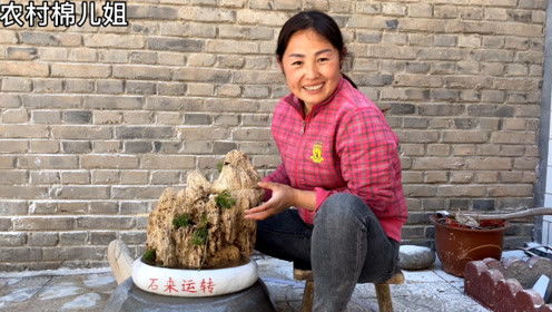 乡村农哥与二姐，一对普通农村夫妻的20年风雨情