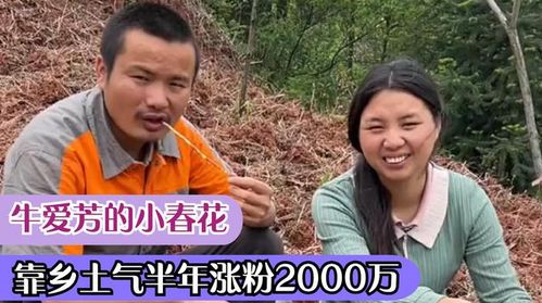 乡村农哥与二姐，一对普通农村夫妻的20年风雨情