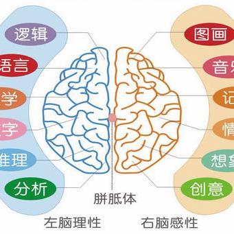 福州早教加盟投资概览