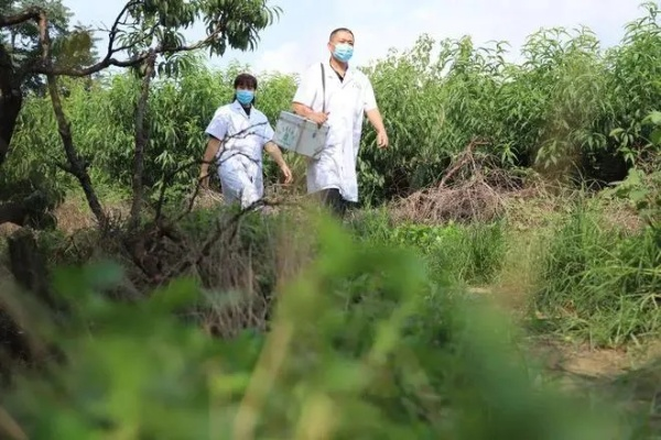 聊城乡村医生现状调查，坚守与困境并存