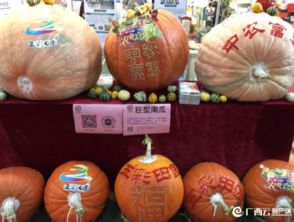 中国陶瓷罐品牌全解析，老字号到新锐品牌的传承与创新