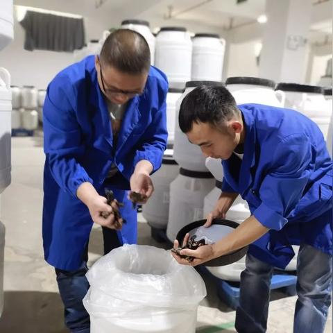 医药品牌研究报告