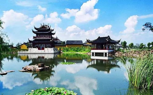2024苏州最新绿化景点TOP10！手把手教你承包整个春天的浪漫