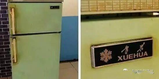 低于市场价的冰箱品牌推荐，如何花小钱买到大品牌好货