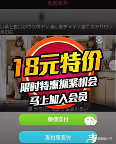 揭秘那些日入过万的挣钱网站小广告，是馅饼还是陷阱？