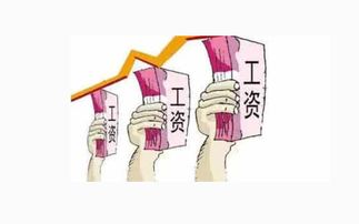 过敏性体质选鸭绒被？这份避坑指南帮你做决定
