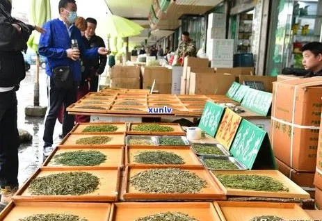 淘工厂卖茶叶真的需要品牌吗？新手避坑指南（附实战案例）