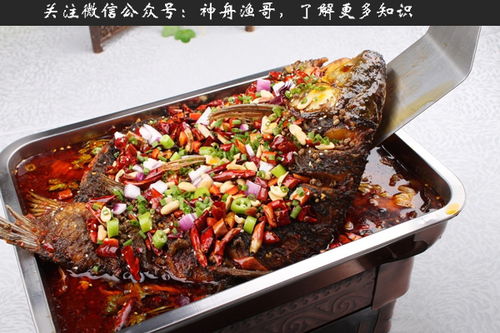 品牌烤鱼加盟店推荐与案例分析