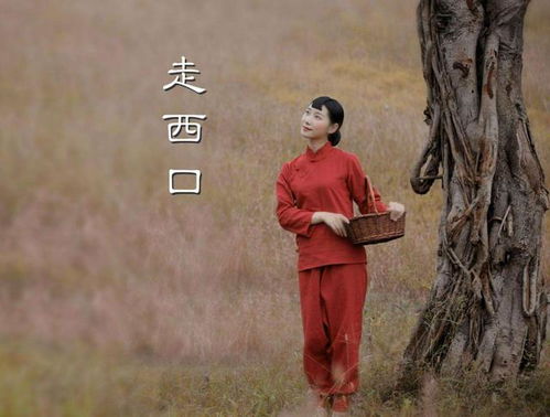 从东北到江南，韩老板的鸭绒被传奇