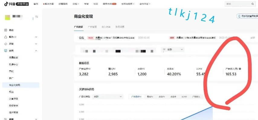 个人网站如何靠广告月入过万？手把手教你避坑指南