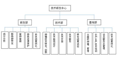 中医药品牌体系概览