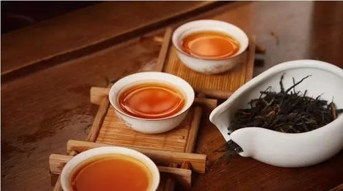 云南精润茶叶品牌全解析，从普洱到滇红，喝出山野好滋味
