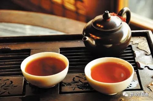 云南精润茶叶品牌全解析，从普洱到滇红，喝出山野好滋味