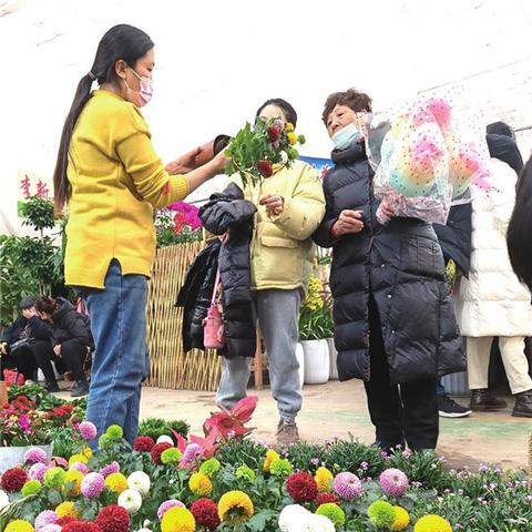 衡水品牌家居代理，一站式解决方案，打造理想家居生活