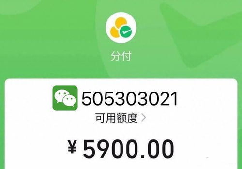 微信分付额度提现指南，轻松提升额度，安全使用更安心
