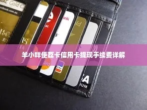羊小咩便荔卡额度提现全攻略，轻松拿回你的钱！
