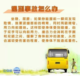 汽车品牌大冒险,暑假趣味知识指南! 汽车品牌大冒险,暑假趣味知识指南!