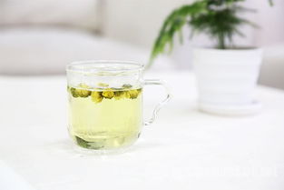 适合老师的茶叶杯推荐品牌，实用指南+避坑技巧