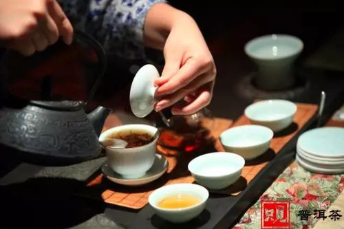 煮茶壶推荐茶叶品牌有哪些？这份指南让你选对茶不踩坑！