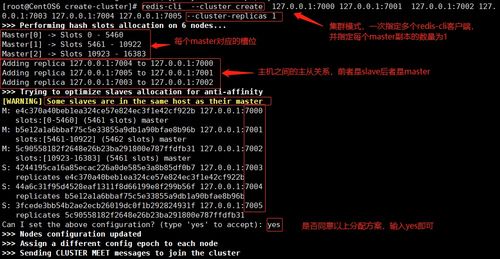 网站接入购物广告的实战全攻略，从0到1的避坑指南