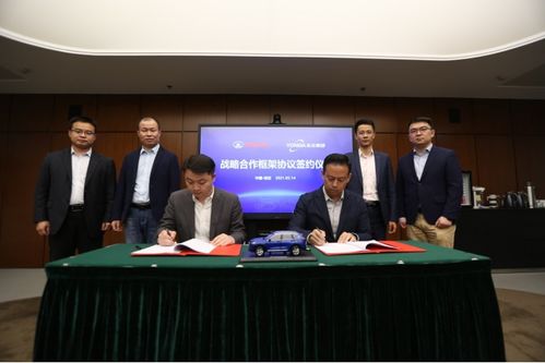 中外汽车品牌分析论文,全球汽车市场的战略与案例研究 中外汽车品牌分析论文,全球汽车市场的战略与案例研究