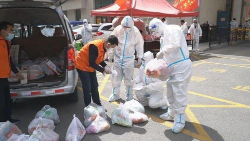 住宿记录查询系统全解析，如何高效管理住宿数据？常见疑问词与解决方案