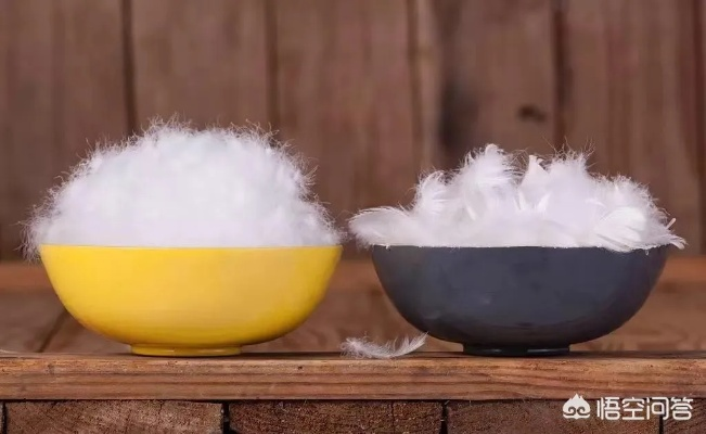 鸭绒被现成的好还是做的好?选购指南与全解析 鸭绒被现成的好还是做的好?选购指南与全解析