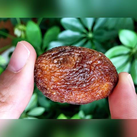 纯天然化妆品品牌,你真的了解吗? 纯天然化妆品品牌,你真的了解吗?