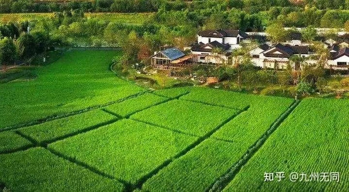 农村如何开展乡村振兴工作?5大疑问词+案例+场景全解析 农村如何开展乡村振兴工作?5大疑问词+案例+场景全解析